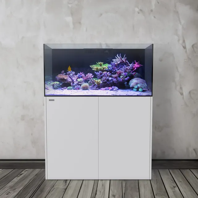 Aquaforest AF OceanGuard 605 acquario marino reef