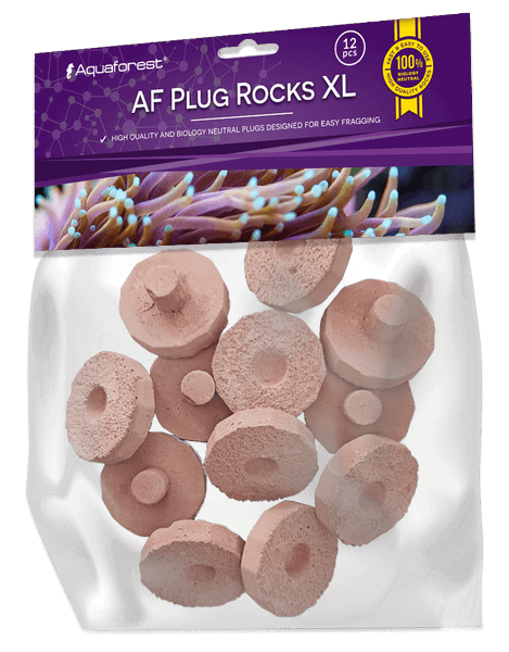 Aquaforest AF Plug Rocks XL supporti frag coralli SPS LPS