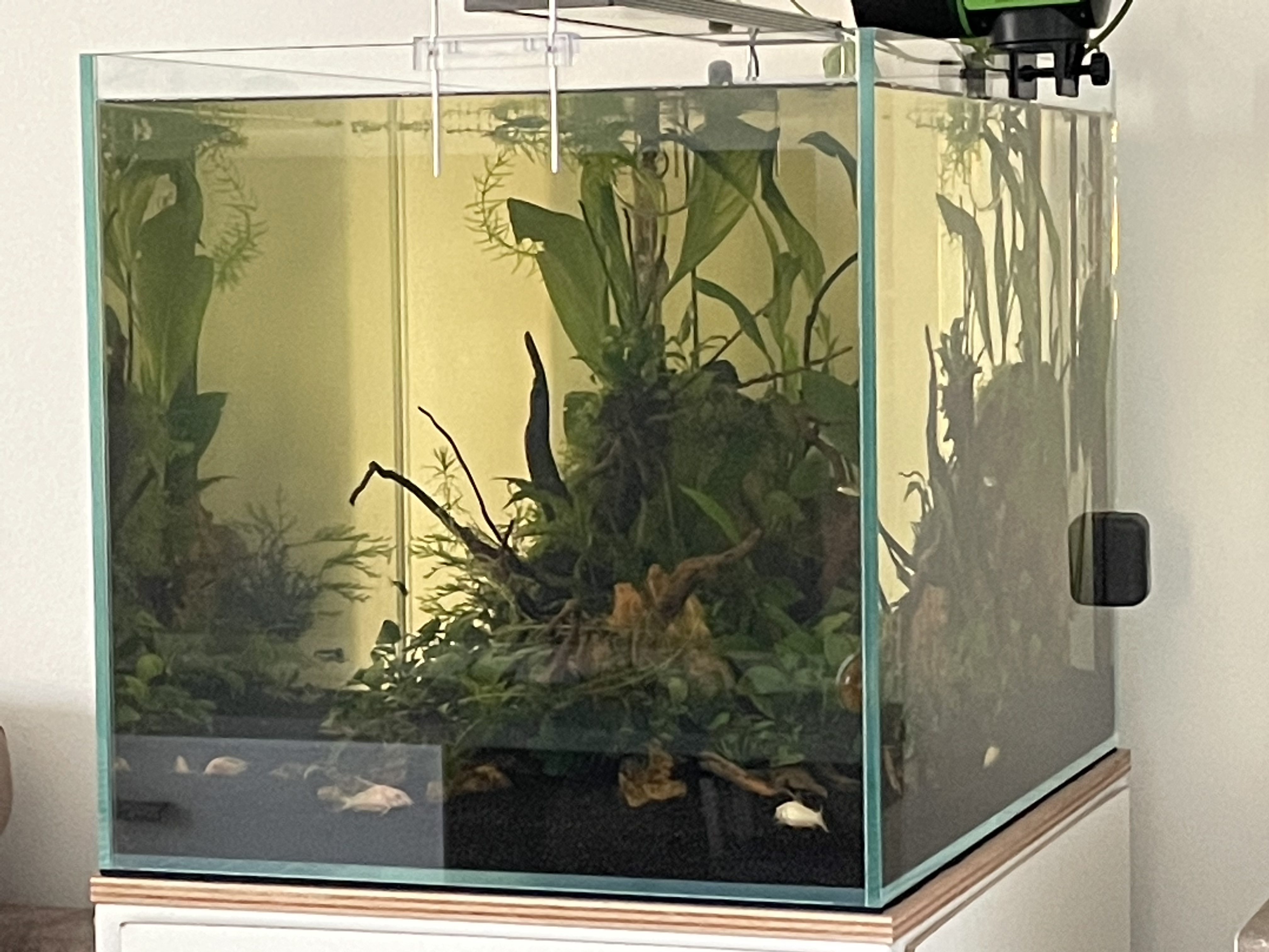Seachem Clarity chiarificatore acquario 500 ml torbida