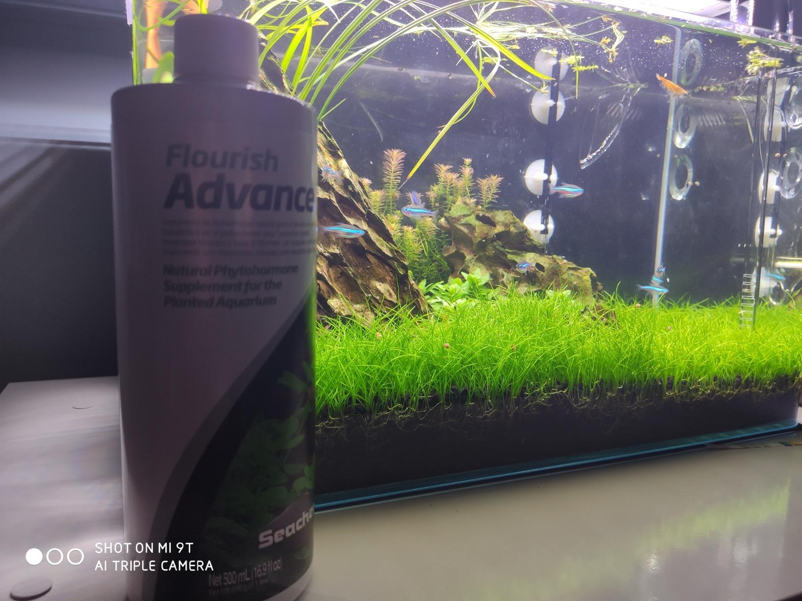 Seachem Flourish Advance fertilizzante 500 ml crescita