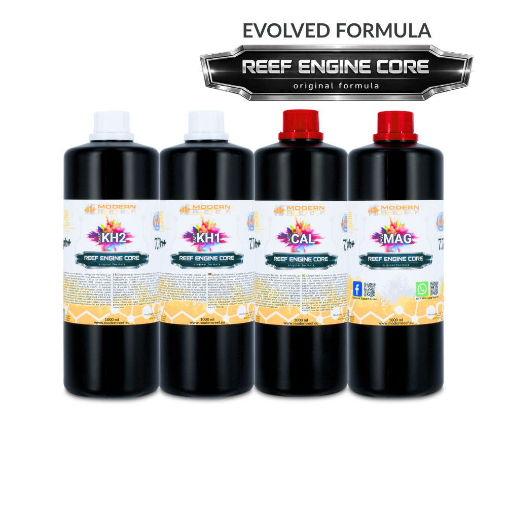 Modern Reef RKS 4x1000ml set reef Engine Core 7.7x