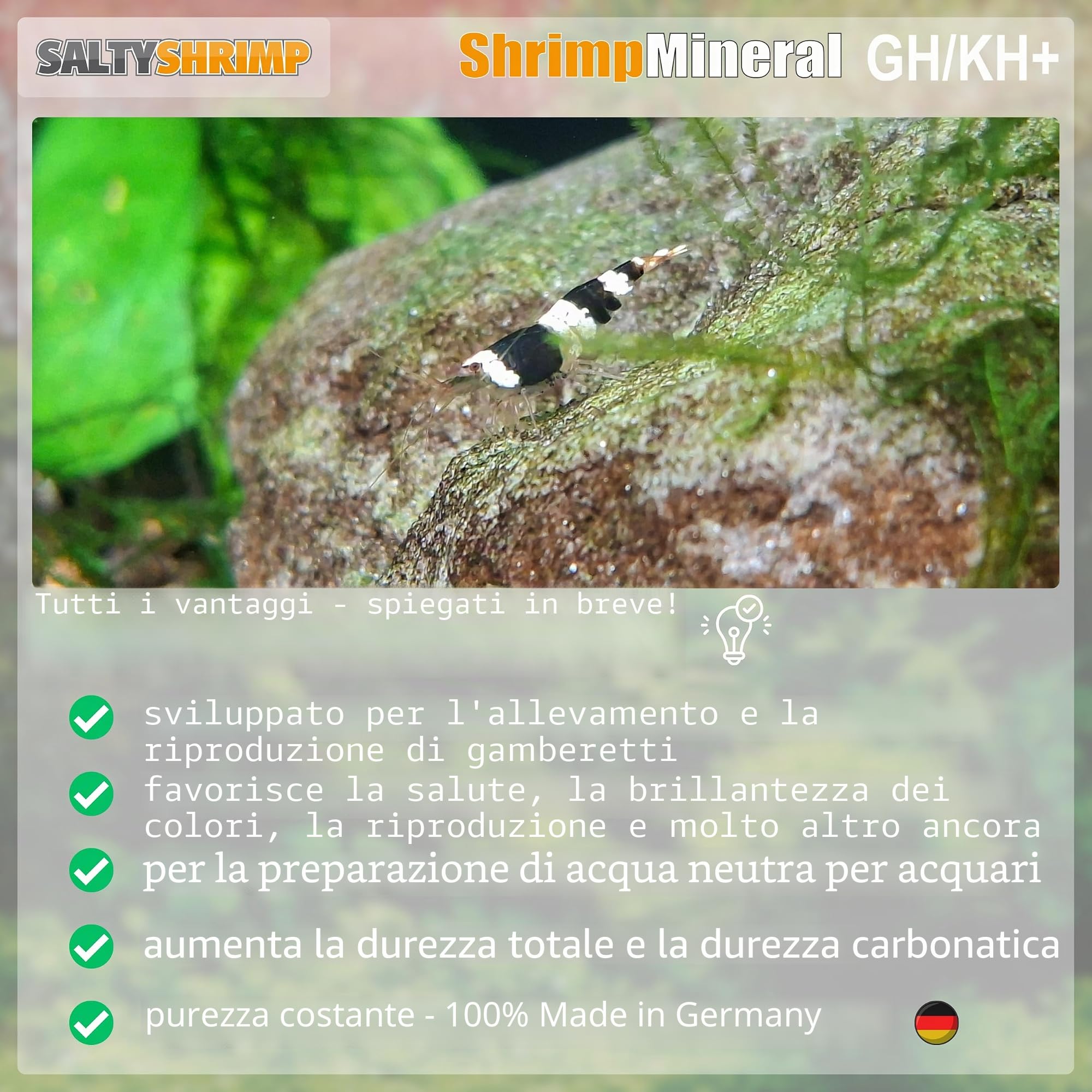 SaltyShrimp Shrimp Mineral GH/KH+ sali remineralizzanti osmosi