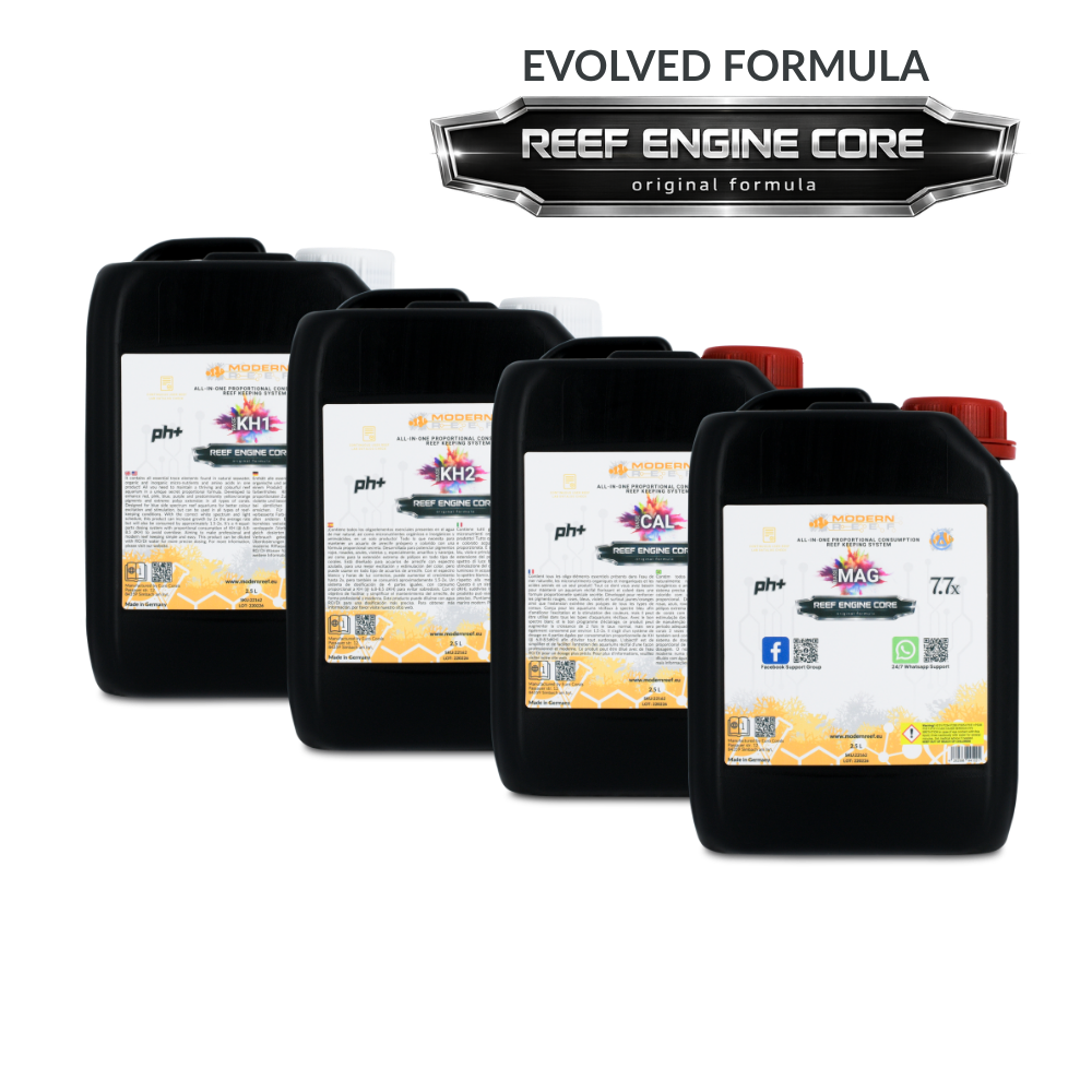 Modern Reef RKS Core 4x2.5L sistema completo reef