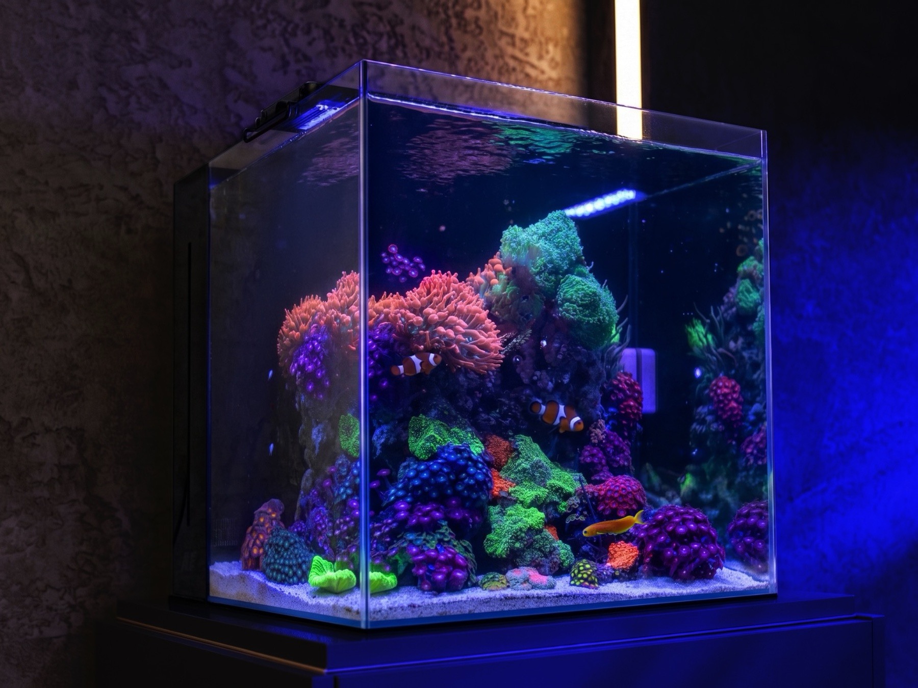 Aquaforest Nano Tank Acquario Marino 45x45x45 Set Completo