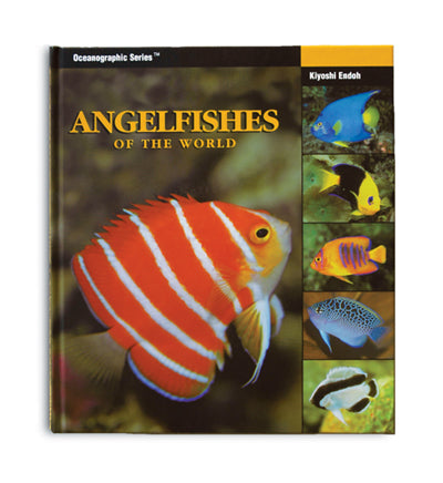 Two Little Fishies Angelfishes Of The World libro pesci angelo 168 pagine