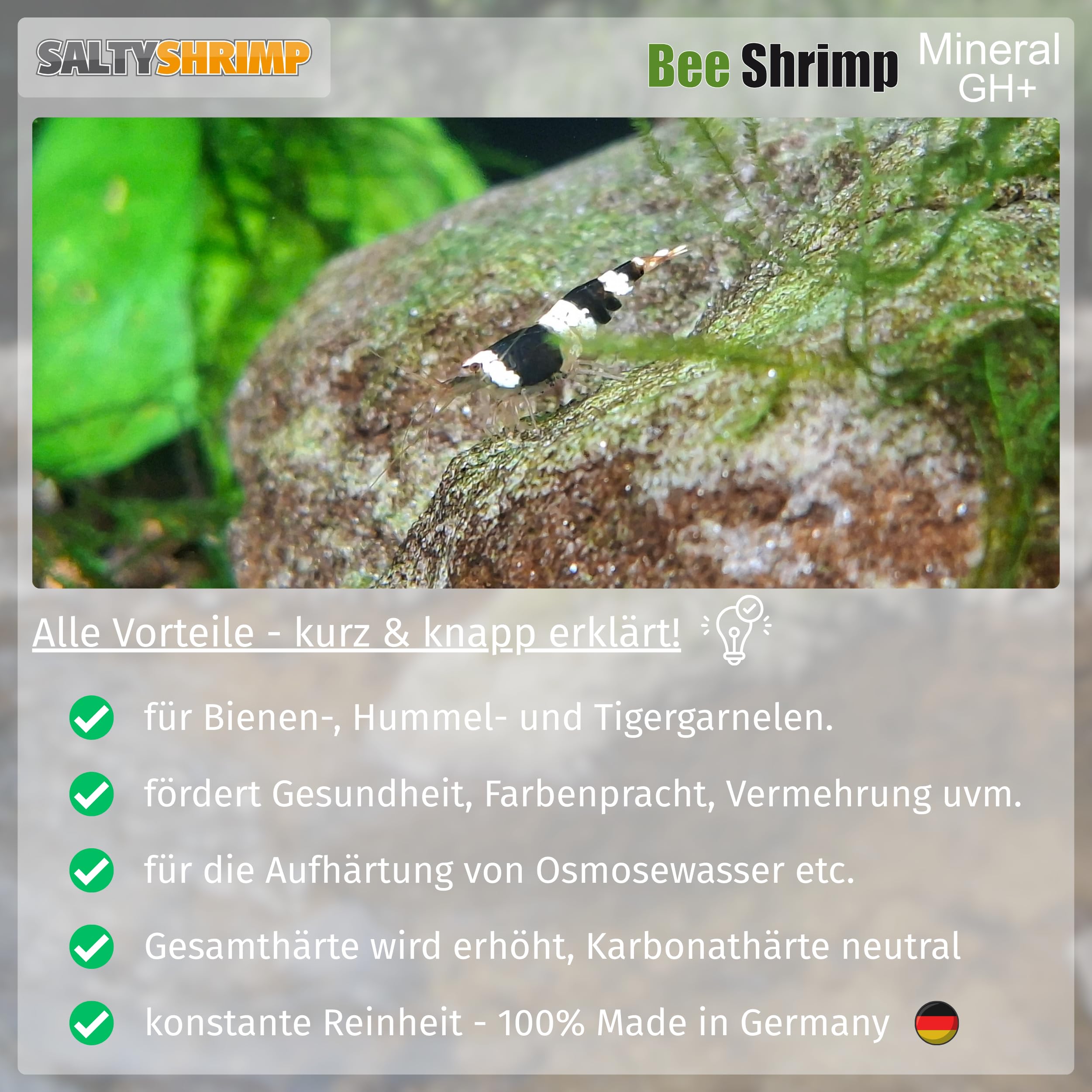 SaltyShrimp Bee Shrimp Mineral GH+ sali 230 g caridine