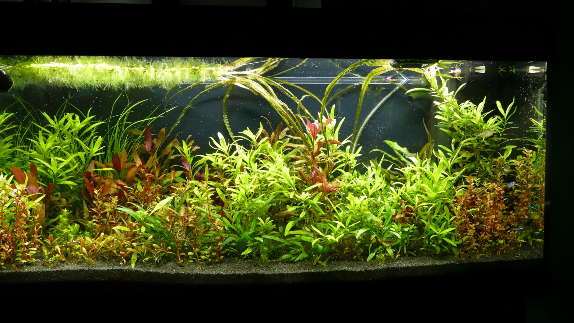 Seachem Flourite Black Sand Sabbia Nera Substrato