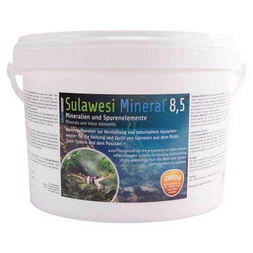 SaltyShrimp Sulawesi Mineral Sula Wesi 8,5 sali gamberetti