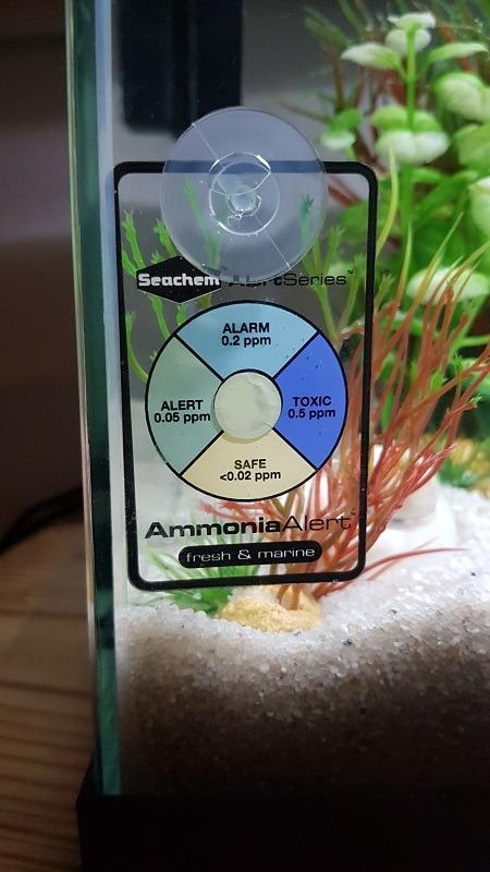 Seachem Ammonia Alert Sensore Ammoniaca Dolce Marino