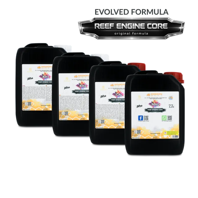 Modern Reef RKS Core 4x2.5L sistema completo reef