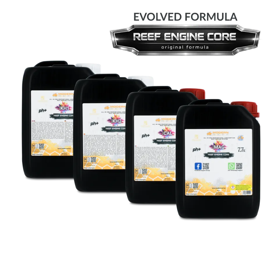 Modern Reef RKS Core 4x2.5L sistema completo reef