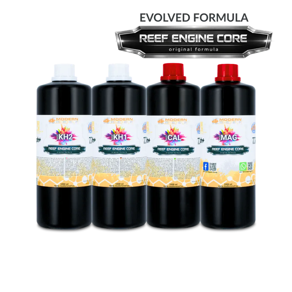 Modern Reef RKS 4x1000ml set reef Engine Core 7.7x