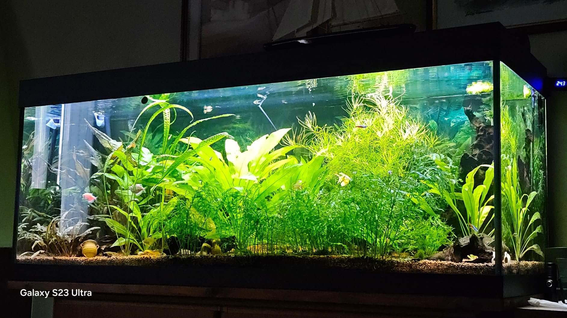 Seachem Flourish fertilizzante piante acquario 500 ml completo