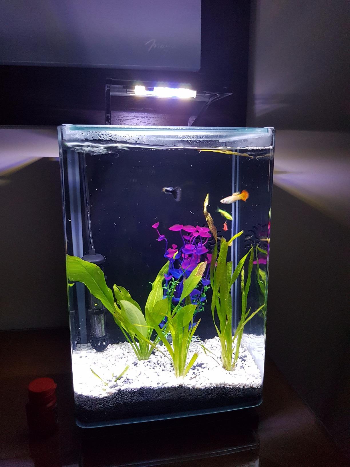 Seachem Onyx Sand 08073 substrato acquario 15.4 lbs argilla