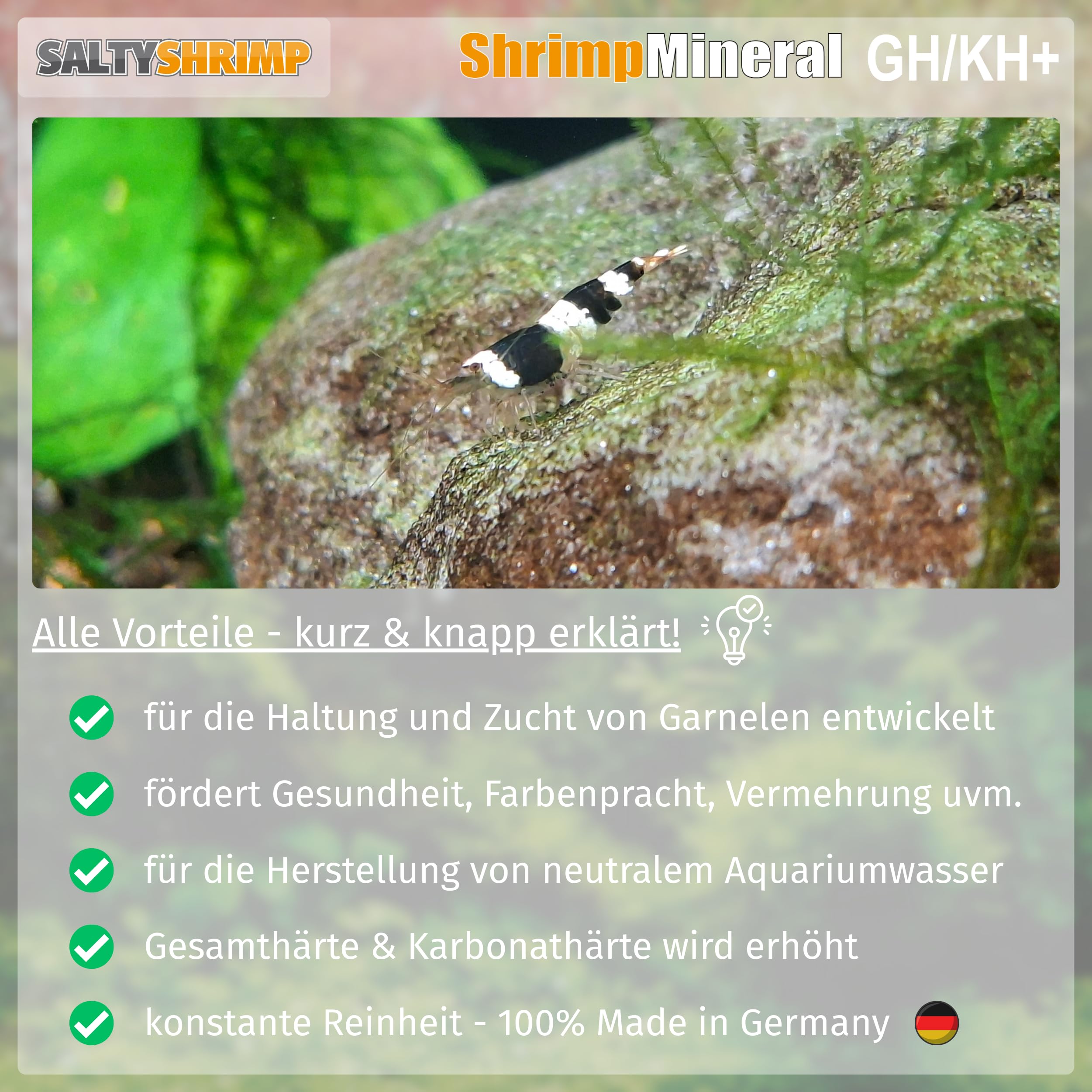 SaltyShrimp Shrimp Mineral GH/KH+ sali 2,55 kg pH neutro