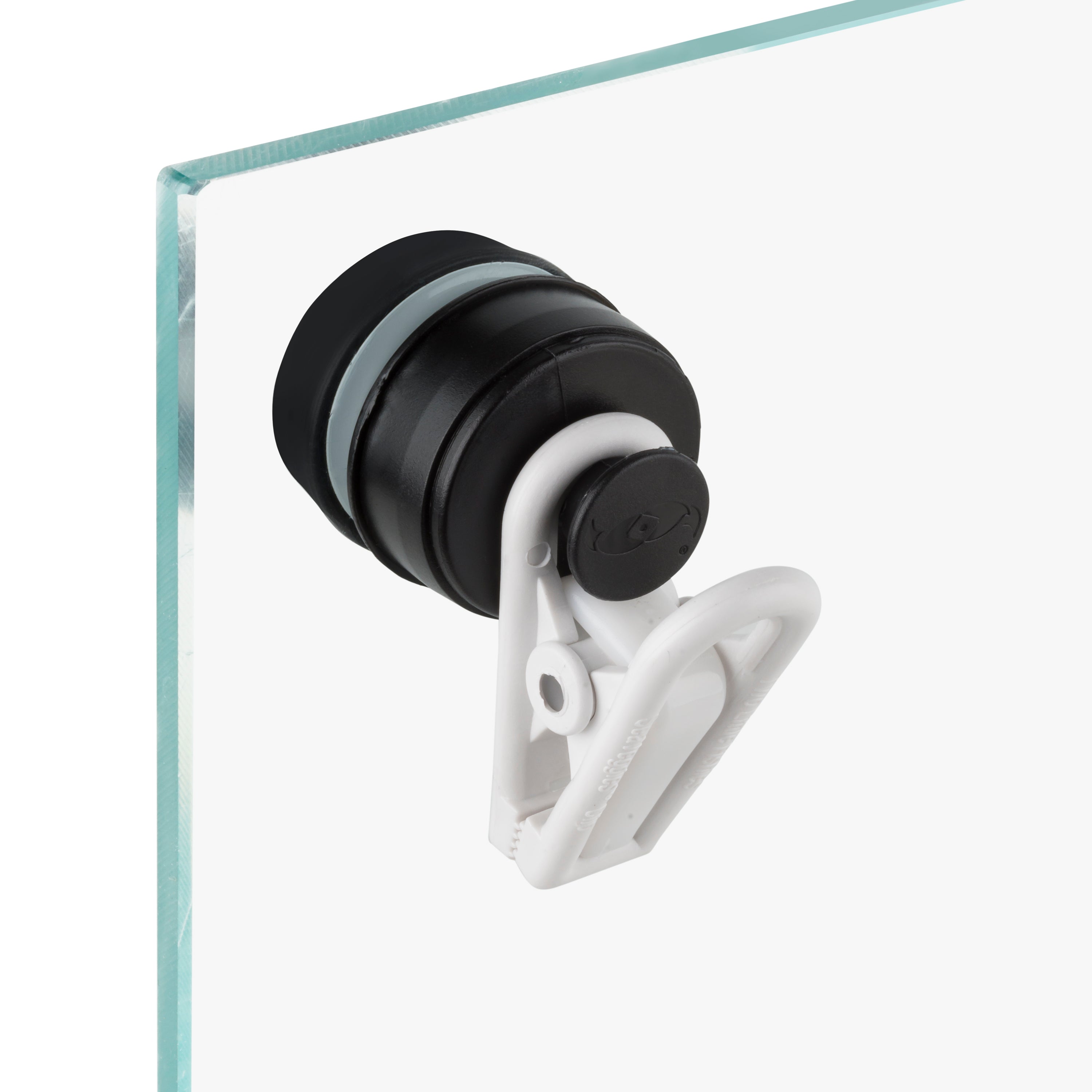 Two Little Fishies VeggieMag clip magnetica alghe