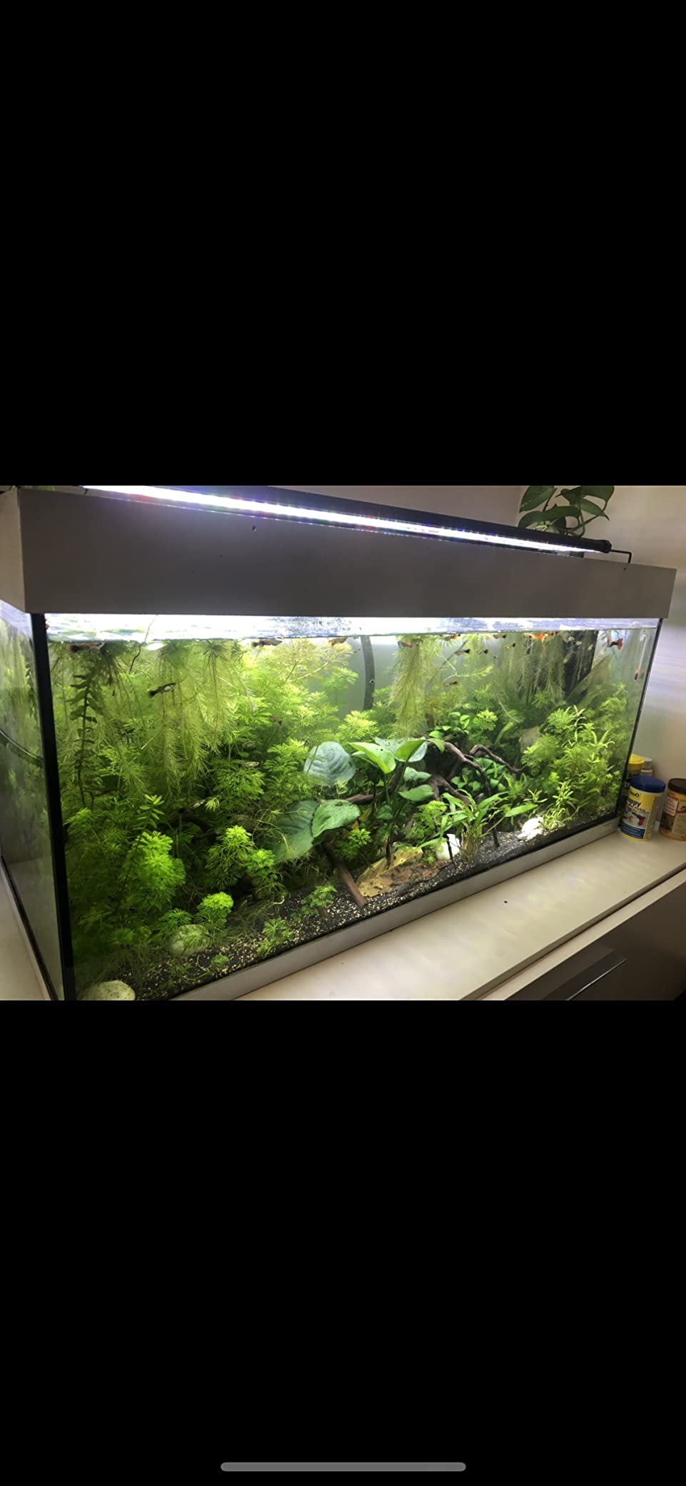 Seachem Flourish fertilizzante piante acquario 500 ml completo