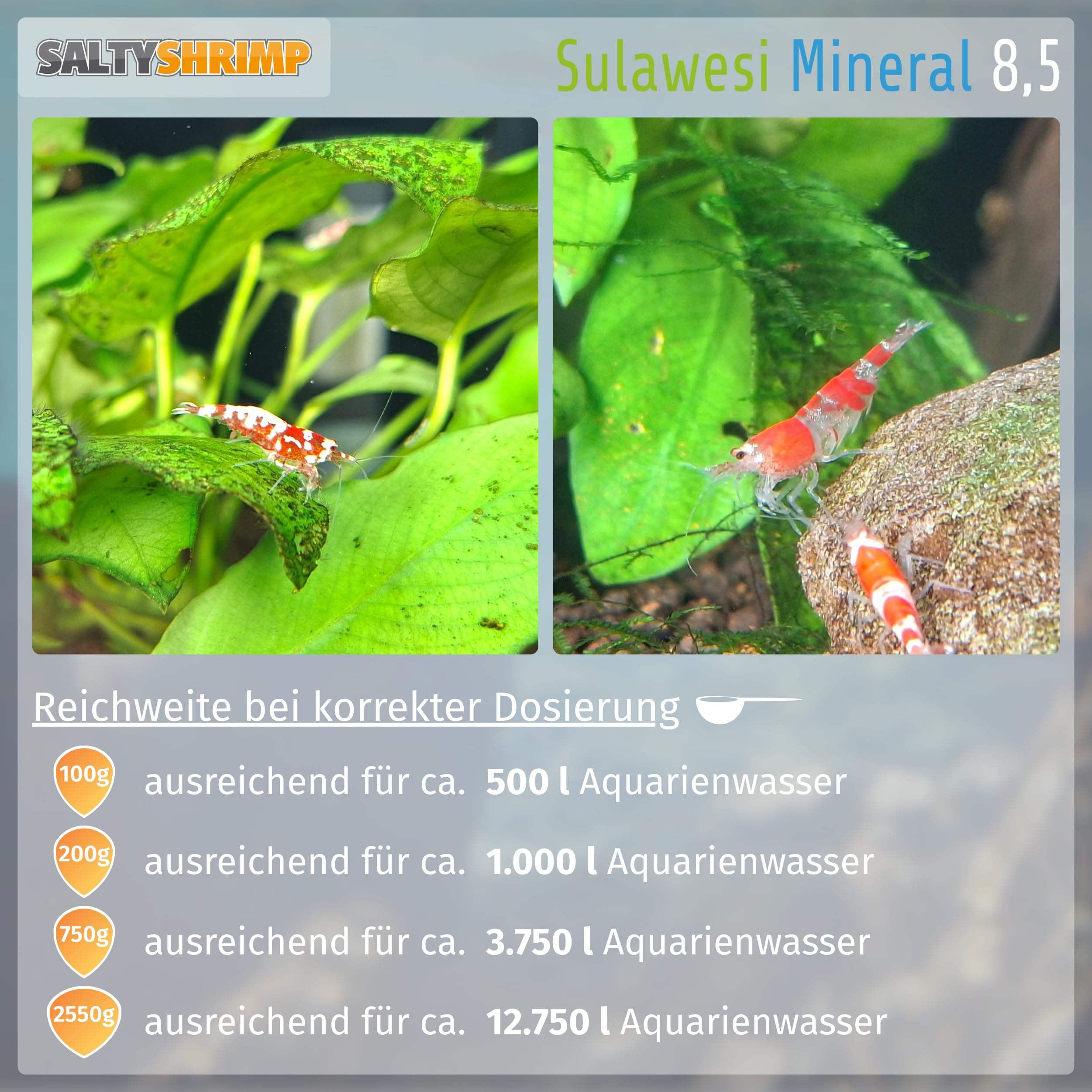 SaltyShrimp Sulawesi Mineral Sula Wesi 8,5 sali gamberetti