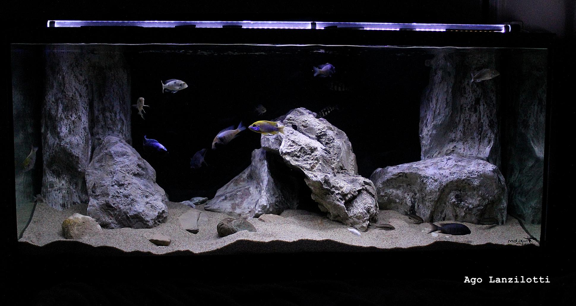 Seachem Purigen 1 L resina filtrante acqua cristallina