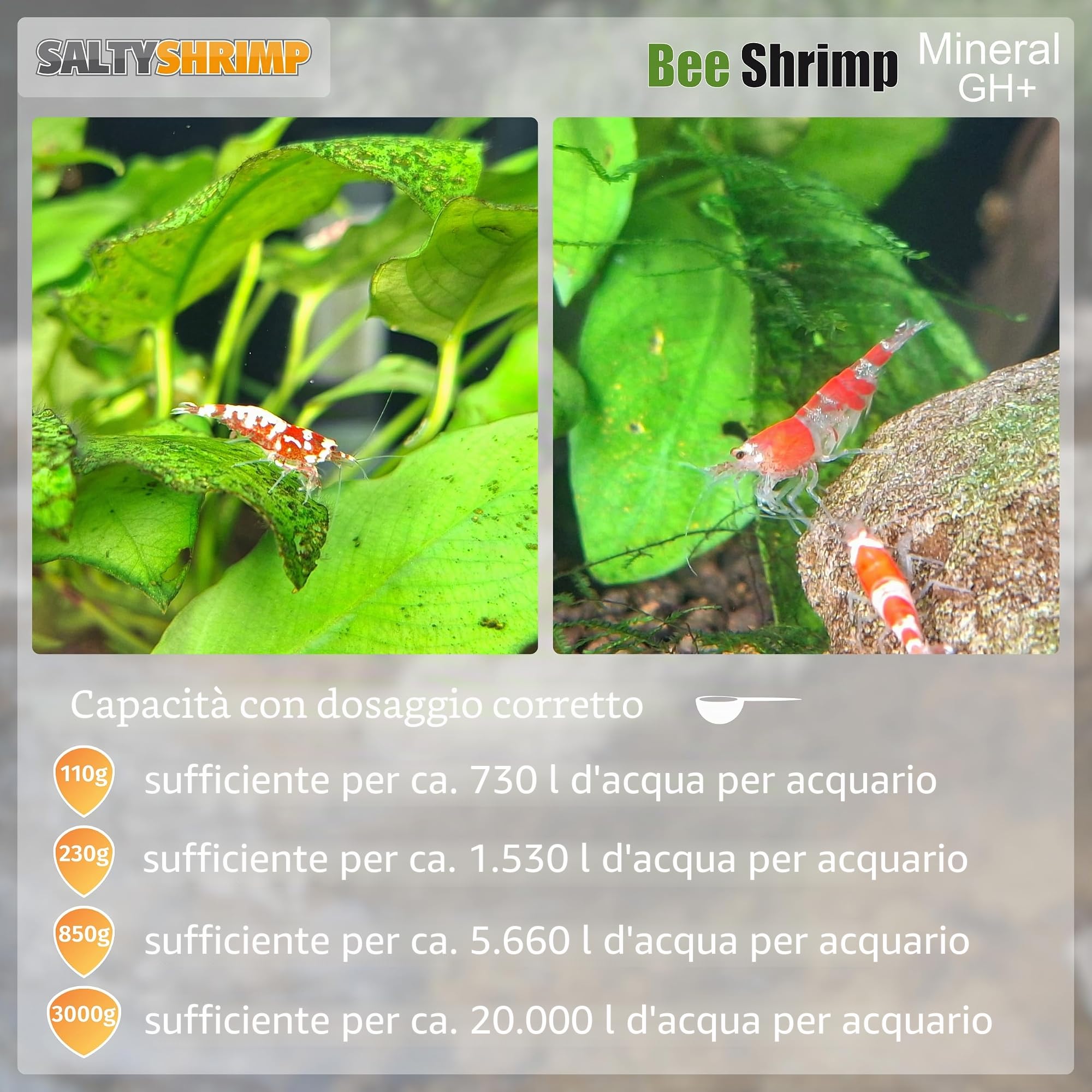SaltyShrimp Bee Shrimp Mineral GH+ sale minerale 110g per caridine