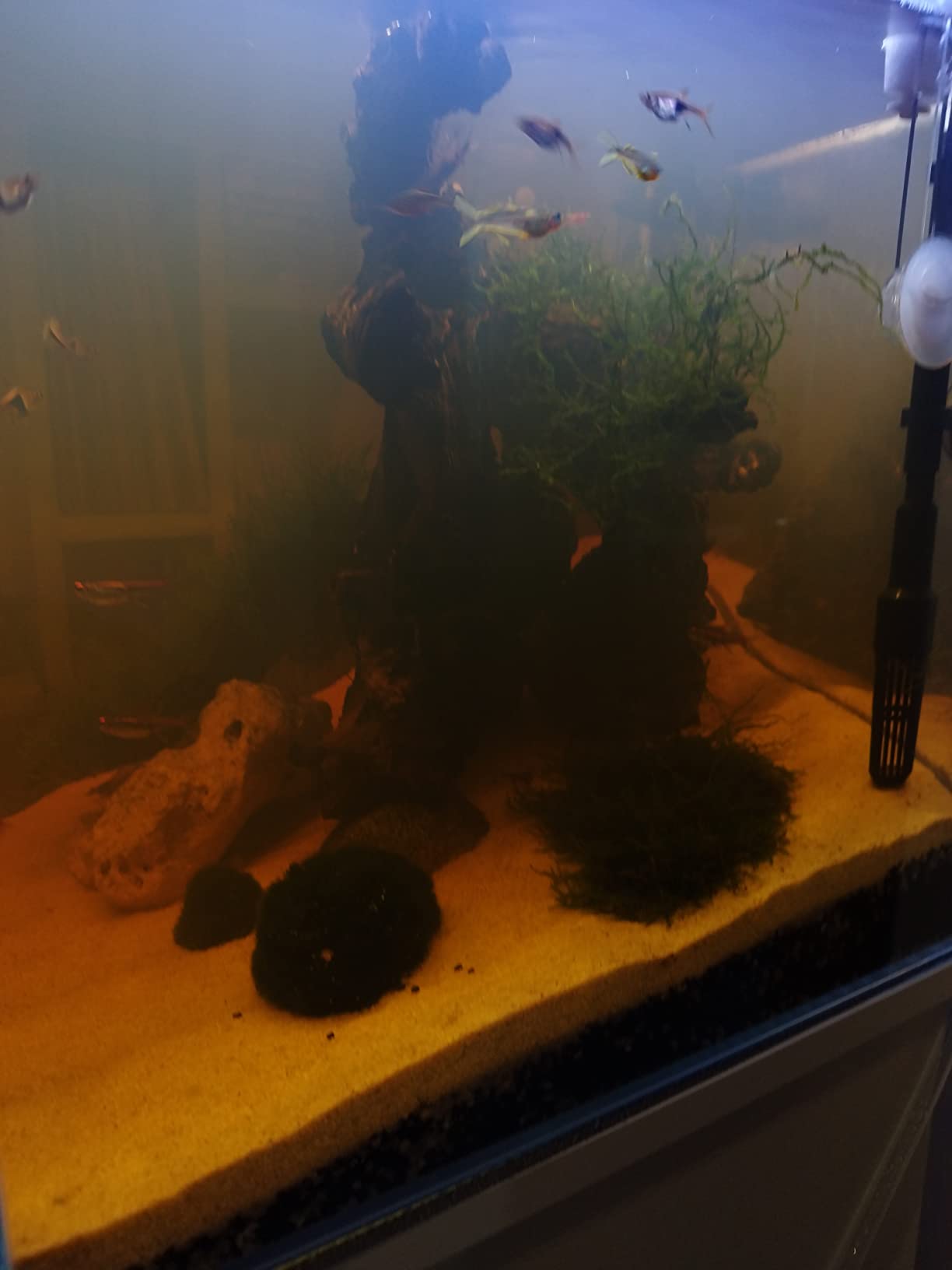 Seachem Clarity chiarificatore acquario 500 ml torbida