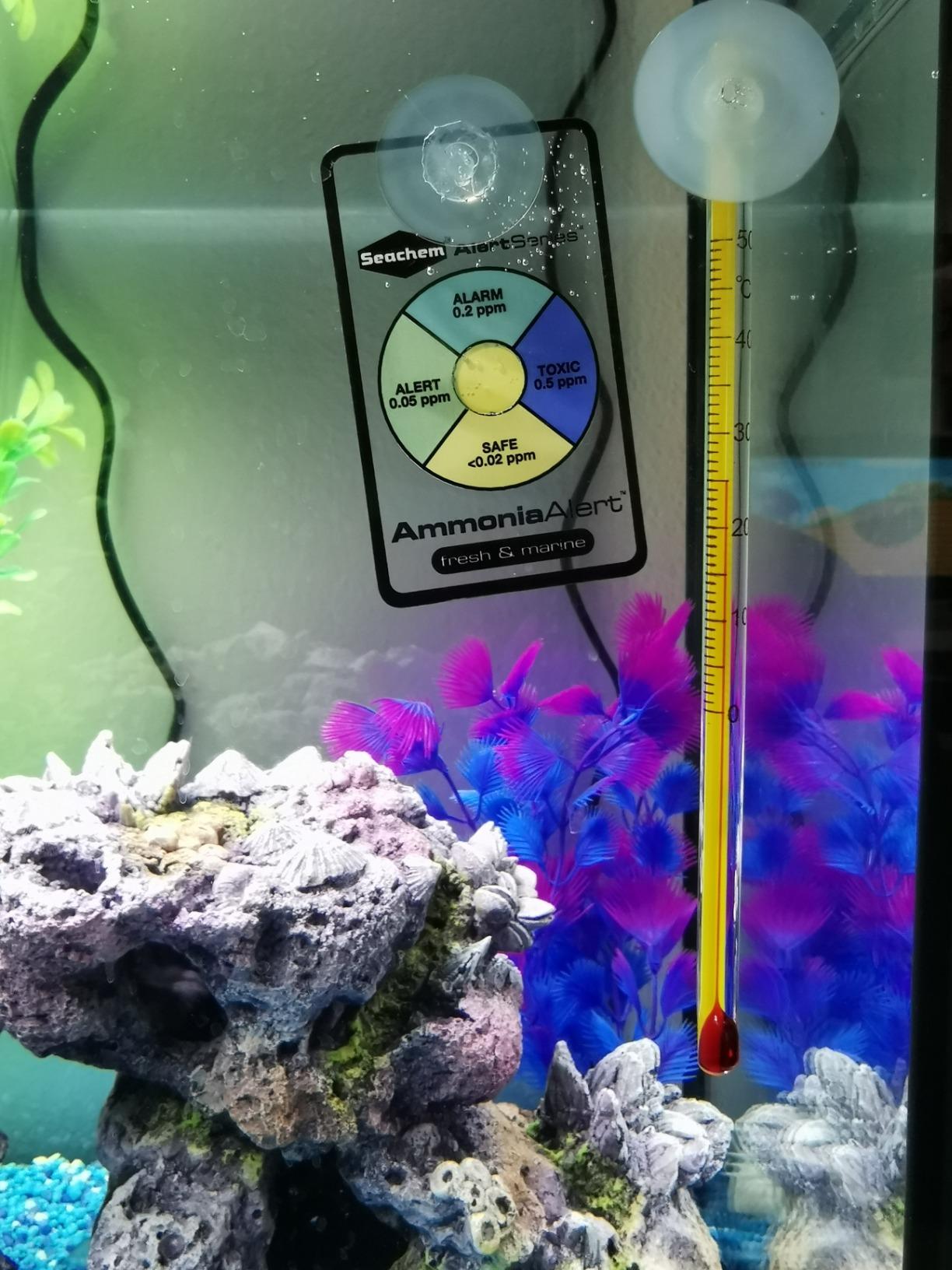 Seachem Ammonia Alert Sensore Ammoniaca Dolce Marino