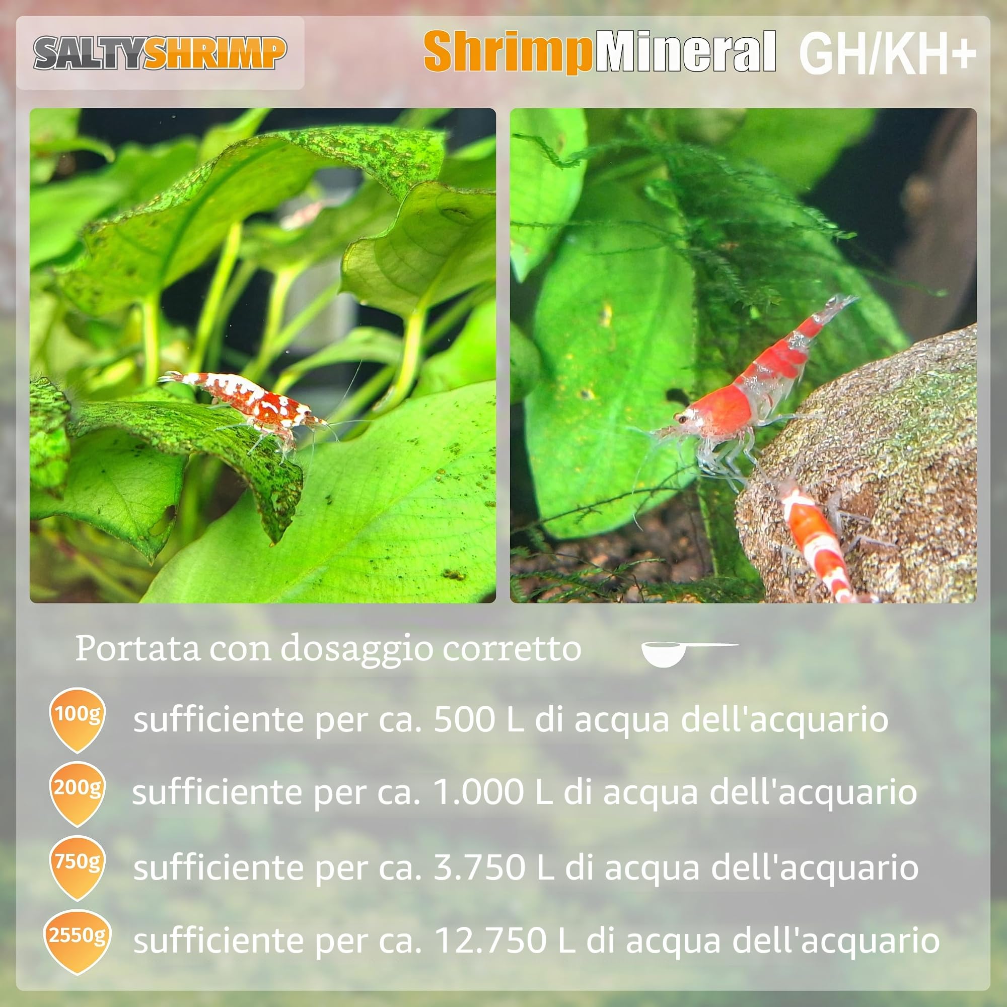 SaltyShrimp Shrimp Mineral GH/KH+ sali remineralizzanti osmosi
